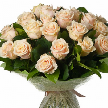 Букет из 25 кремовых роз